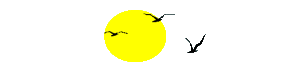 3480_soleil avec oiseaux